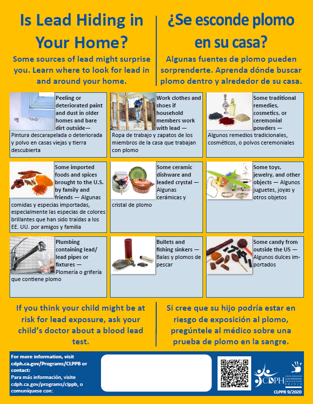 Is Lead Hiding in Your Home flyer