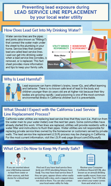 Screen shot of the LSLR infographic