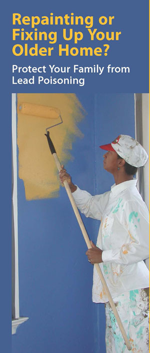 Screen shot of ​Repainting or Fixing Up Your Older Home Brochure