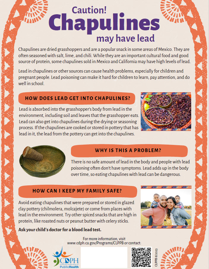 Screen shot of Chapulines flyer