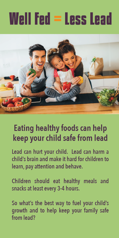 Screen shot of Well Fedd = Less Lead brochure