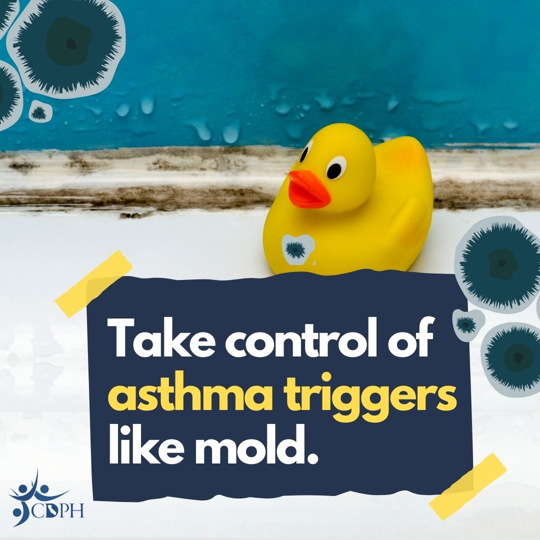 Grout with mold and a rubber duckie toy with text overlay “Take control of asthma triggers like mold.”