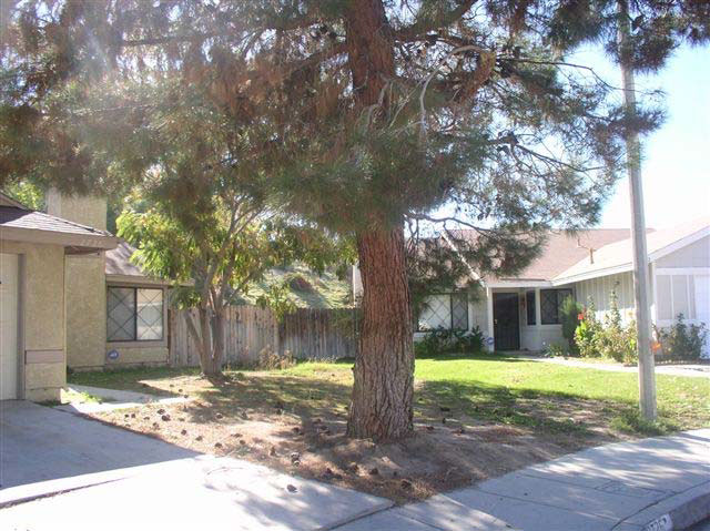 The base of the pine tree stands at the corner of the driveway of the house, near a metal streetlight pole. Dead branches hang over the walkway and the roof of the house.
