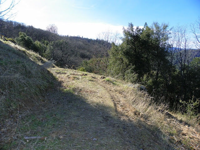 The steep, hillside portion of the backyard where the woodchipper was parked.