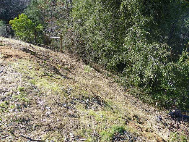 The steep rough terrain where the employees were working.