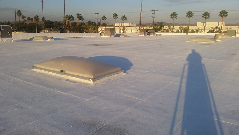 The flat roof of the warehouse showing the skylights.
