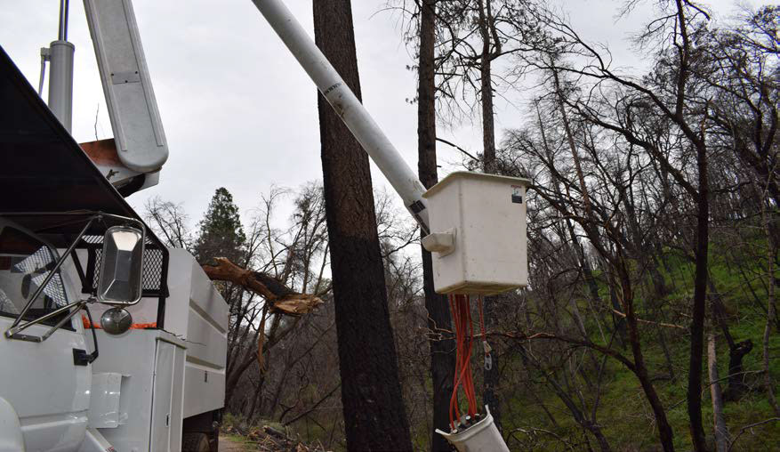 A damaged bucket truck with the broken branch lying on the back of the truck. The control panel for the bucket is hanging by wires from the bucket.