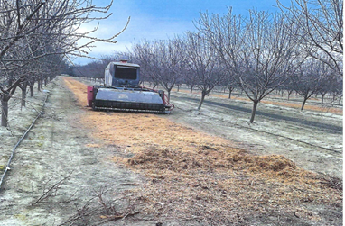 Brush shredder in the almond field