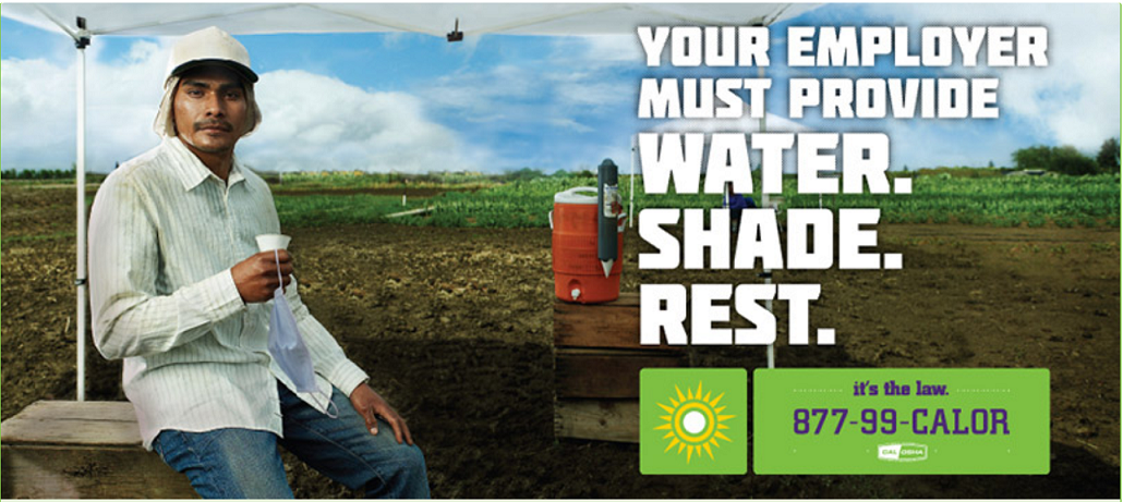 farmworker in light-colored shirt & hat under an umbrella holding cup of water: Your employer must provide WATER. SHADE. REST.