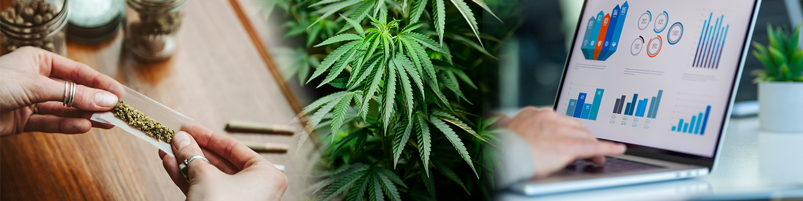 Youth Cannabis Prevention Initiative