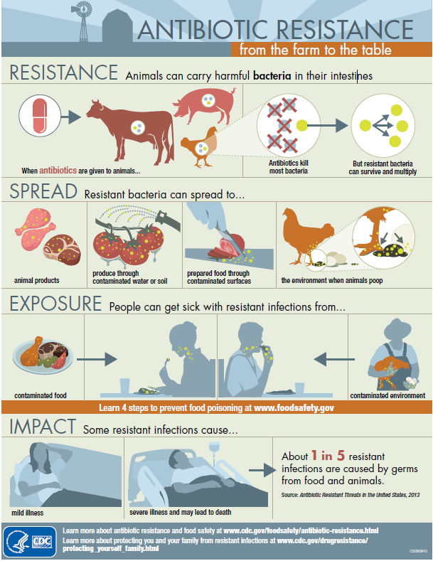 AR from Farm toTable