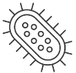 Germs Germs