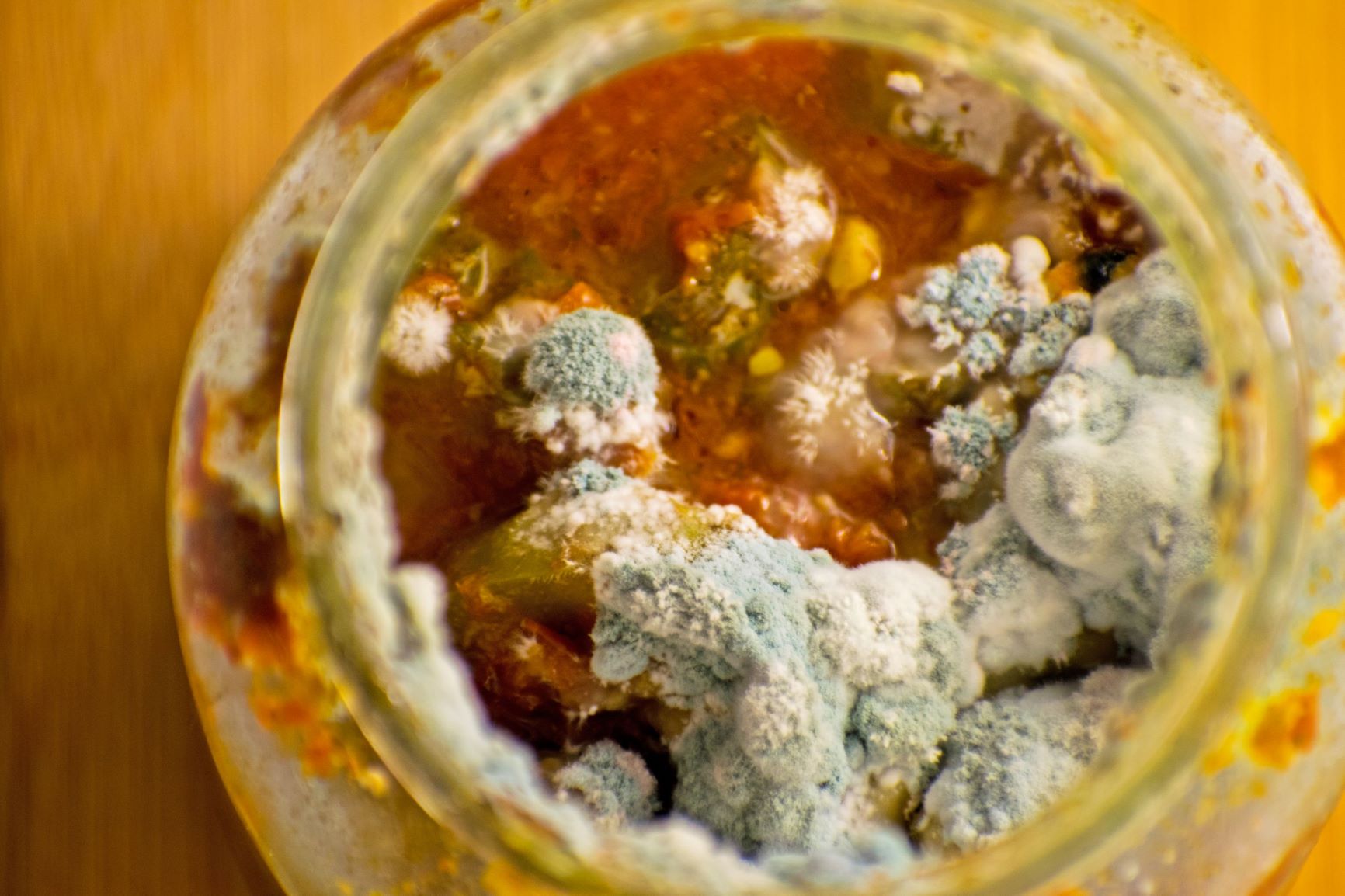 Moldy Food Jar