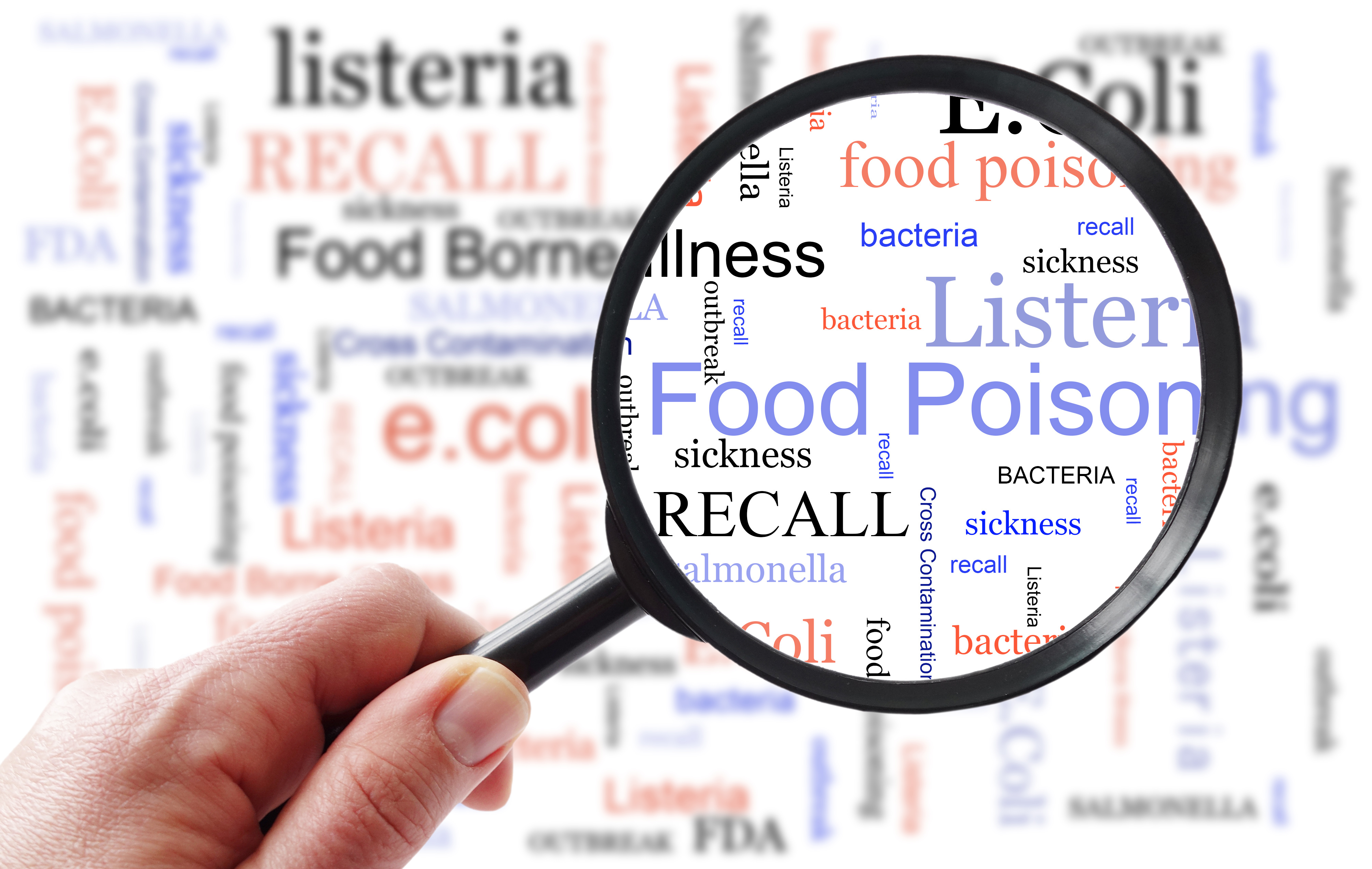 Investigating foodborne outbreaks