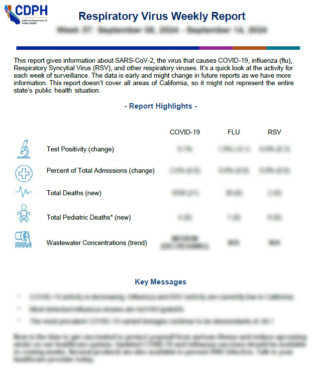 Blurred out image of first page of RV report