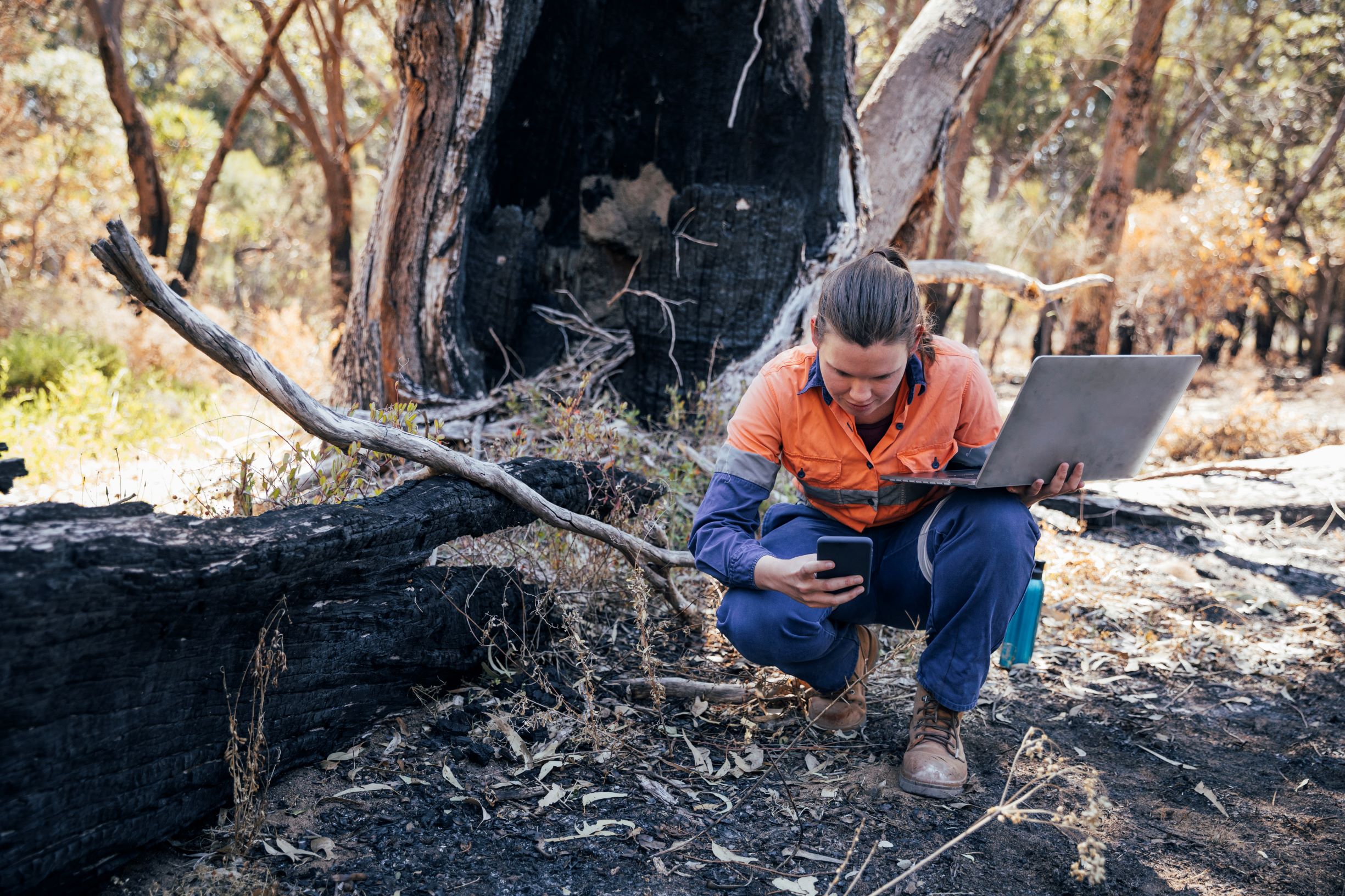 Woman doing ecology research outside in a forest