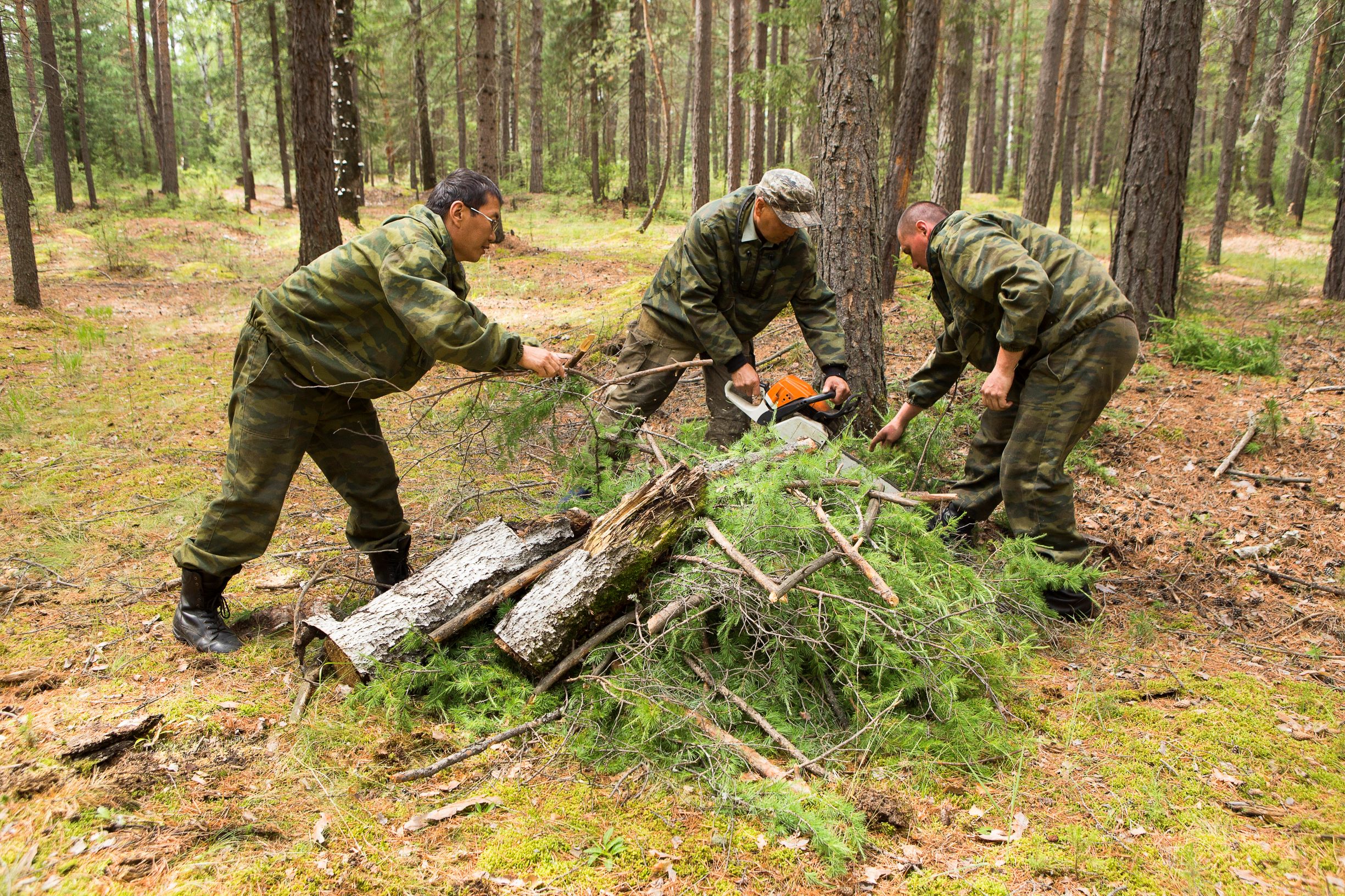 Group of people cutting wood and cleaning up forest brush