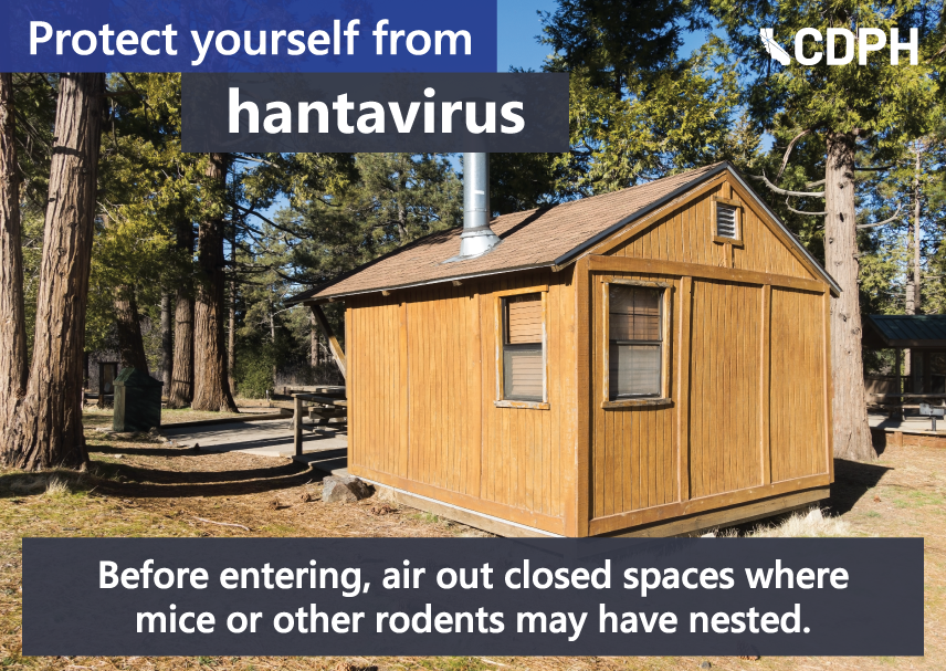 Protect yourself from hantavirus - before entering, air out closed spaces where mice or other rodents may have nested.