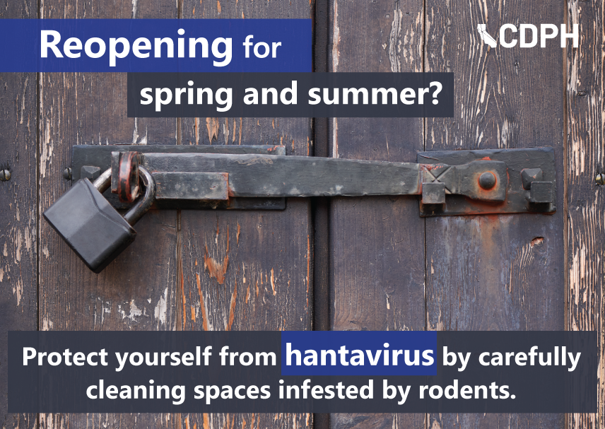 Reopening for spring and summer? Protect yourself from hantavirus by carefully cleaning spaces infested by rodents.