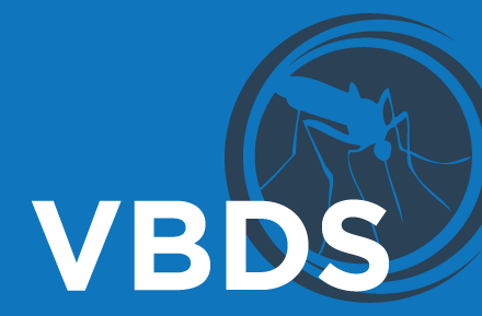 DIS_Section-Images-for-Web