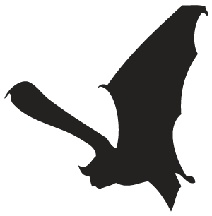 Bat