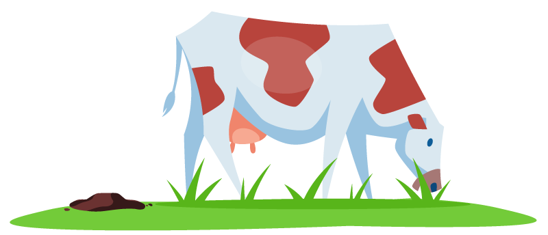 Illustration of a cow grazing Illustration of a cow grazing