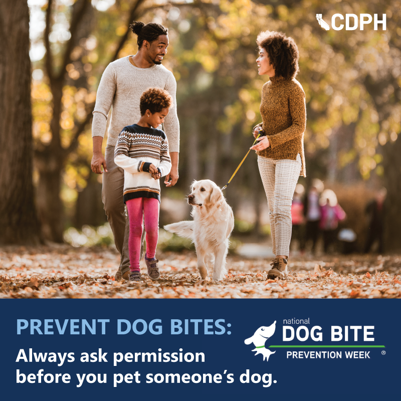 Prevent Dog Bites: Always ask permission before you pet someone's dog. Prevent Dog Bites: Always ask permission before you pet someone's dog.