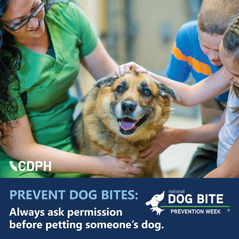 Prevent Dog Bites: Always ask permission before you pet someone's dog. Prevent Dog Bites: Always ask permission before you pet someone's dog.