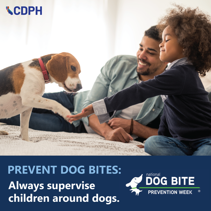 Prevent Dog Bites: Always supervise children around dogs. Prevent Dog Bites: Always supervise children around dogs.