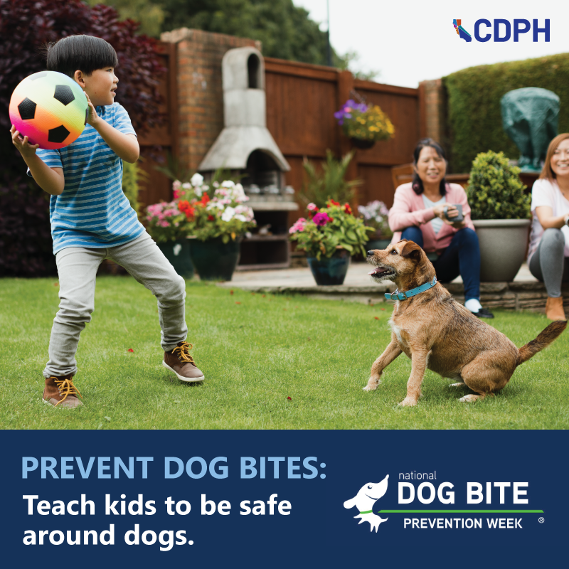 Prevent Dog Bites: Teach kids to be safe around dogs. Prevent Dog Bites: Teach kids to be safe around dogs.