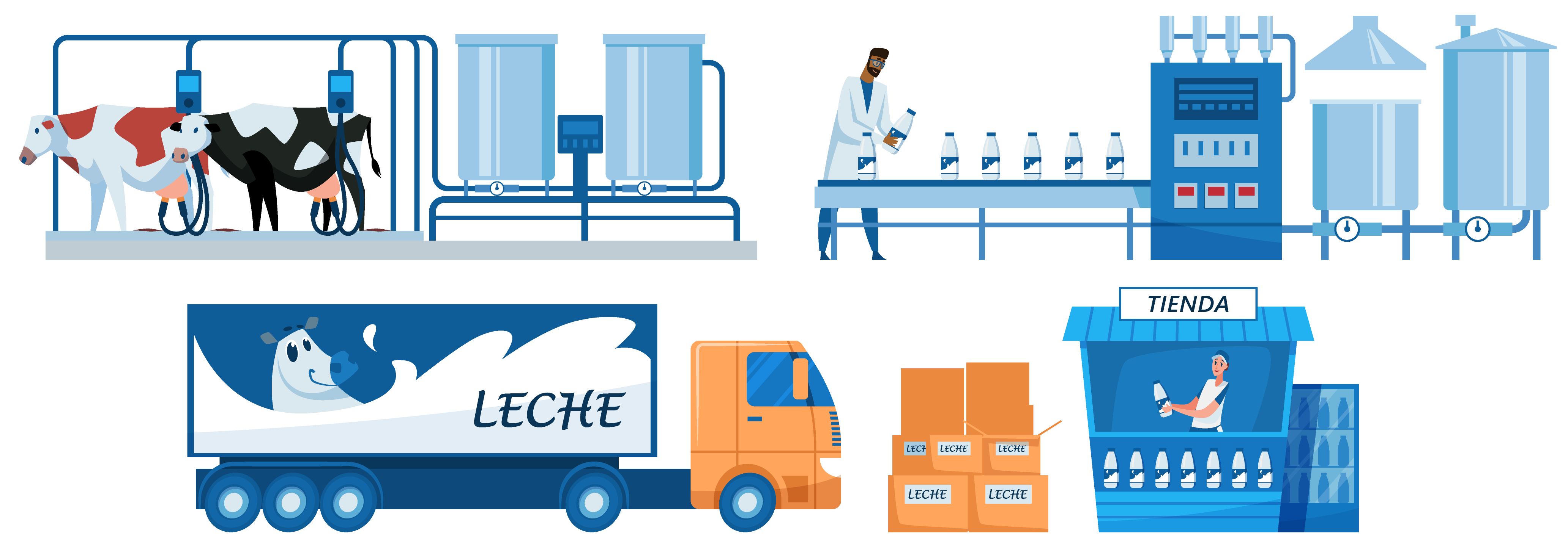 Ilustración del proceso de producción de leche