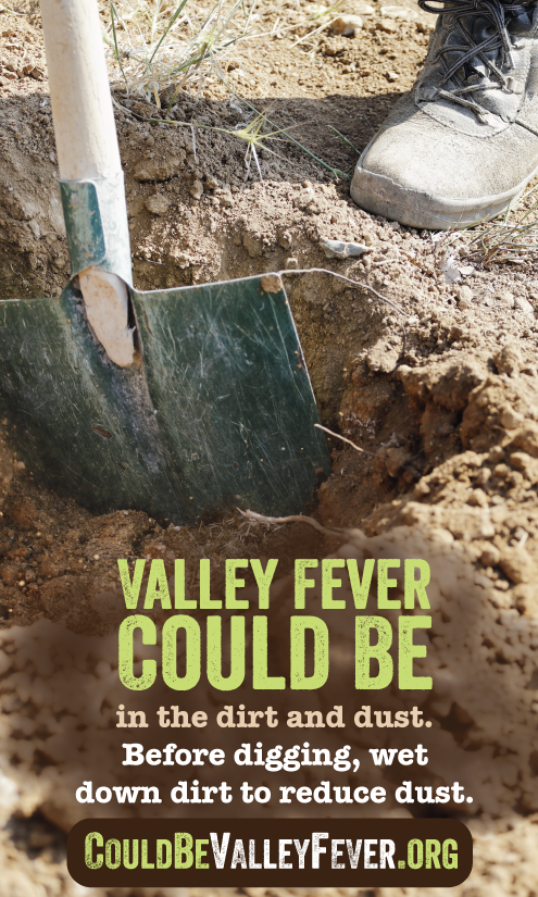 Valley fever could be in the dirt and dust Valley fever could be in the dirt and dust