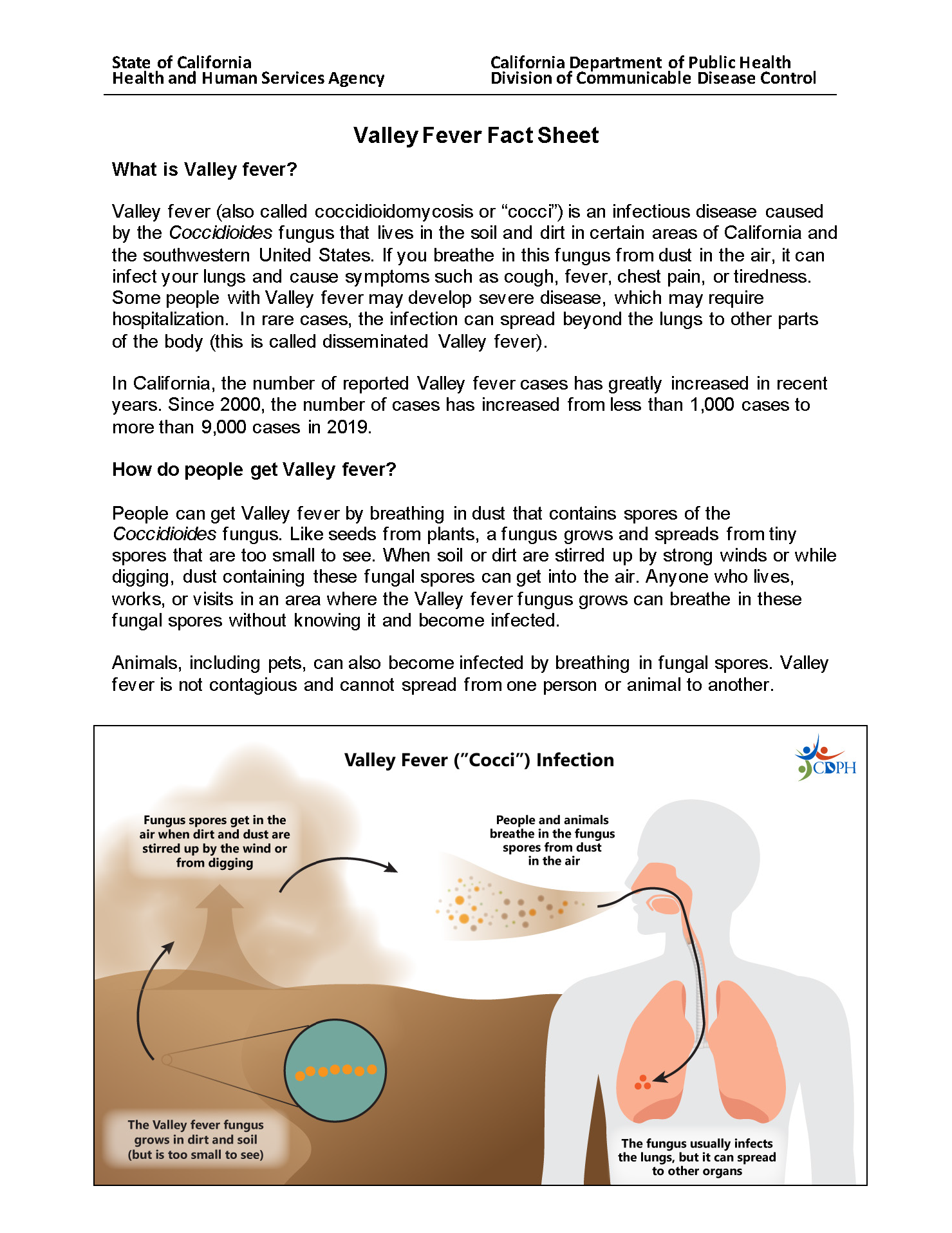 ValleyFeverFactSheet Valley fever fact sheet