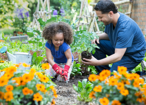 father and daughter gardening