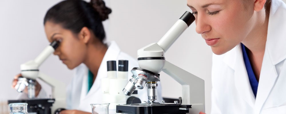 Scientists looking through microscope