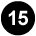 Step 15