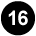 Step 16